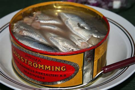 the stinkiest fish in the world|Swedish Surströmming: The Worlds Smelliest Food